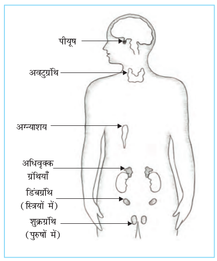 Screenshot from 2019-06-08 19-18-32